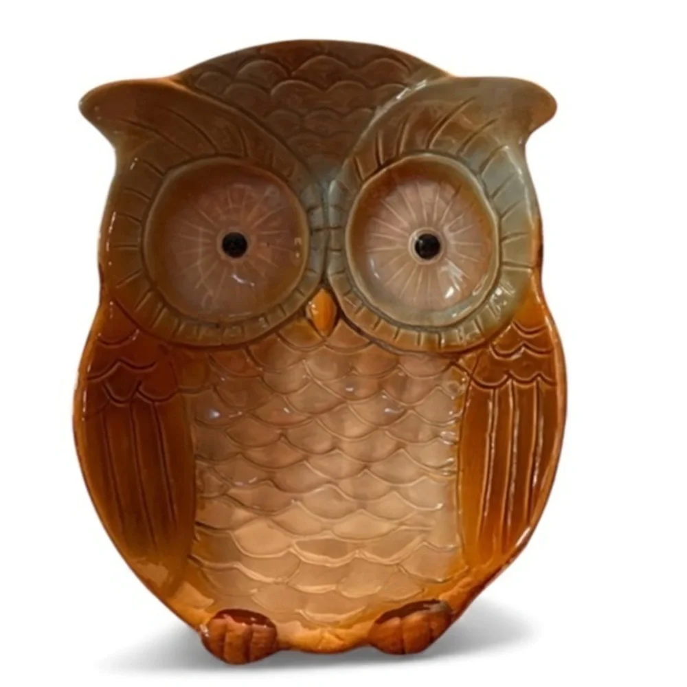 Vintage Hand Painted Earthenware Ceramic Glaze Owl Shaped Serving Bowl Dish 10